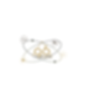 THEMA Q (3).png