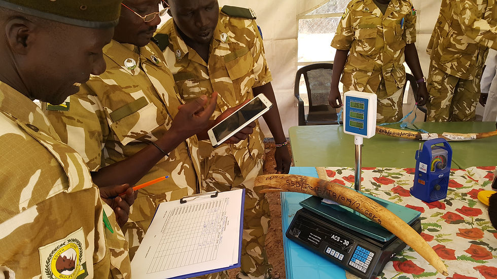 South Sudan Ivory Inventory