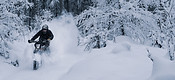 The Freeride Spirit_2.jpg