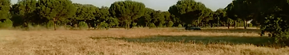Land Rover Defender 2 .png