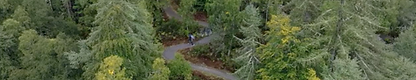 The Scenic Route 2.png