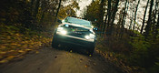 Forest Run_2.jpg