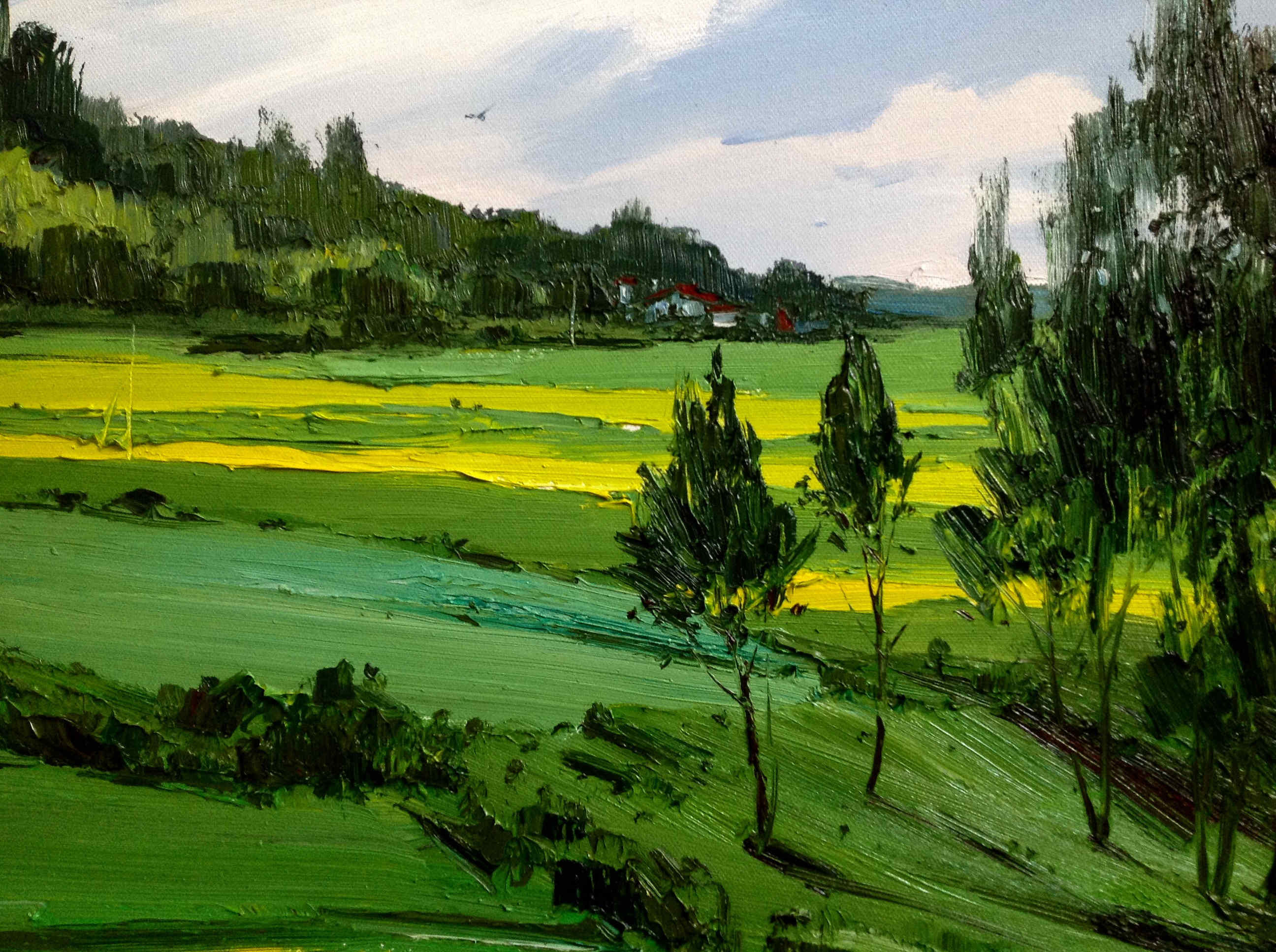 rolling countryside mostly deep green some yellow and dark green trees on right and in distance