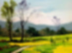 open landscape of green and yellow grass few trees green bushes and hills in background