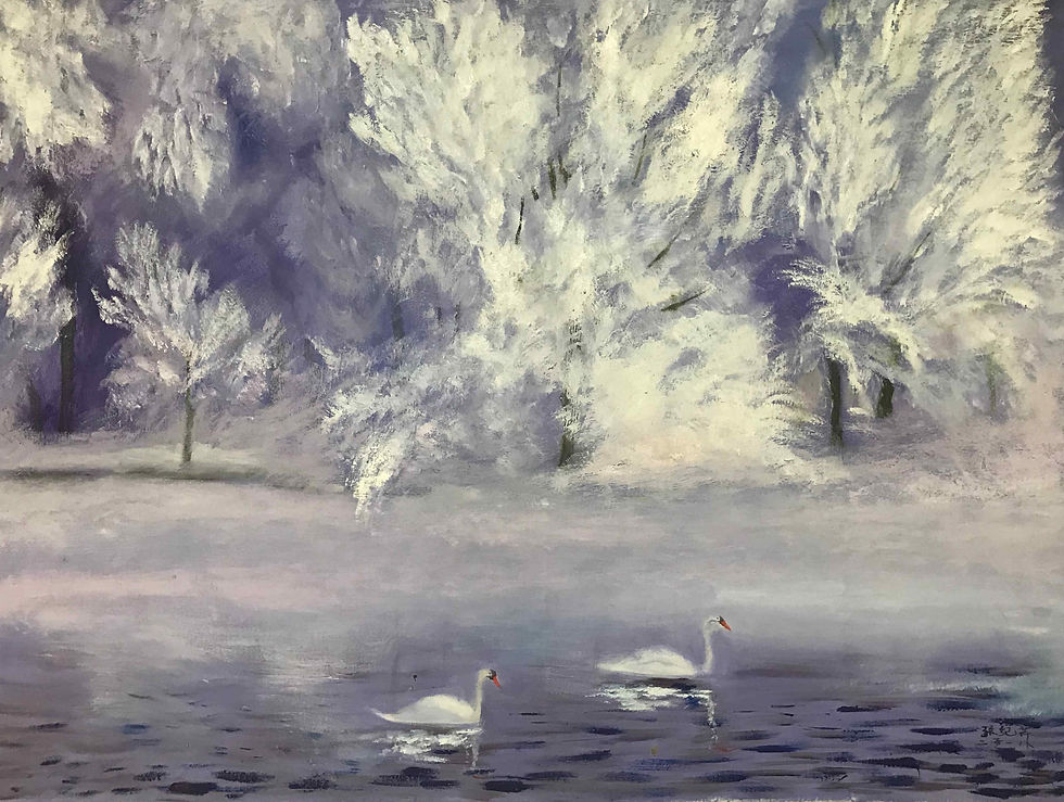 two white swans on a cold deep blue lake swim by white snow covered trees