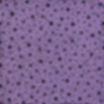 black circles with a bright neon purple boarder and varying sizes
