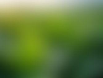 Peak Agro: Premium Tobacco Leaf Cultivation in Moldova