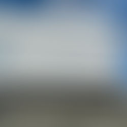 ウイルスハンター