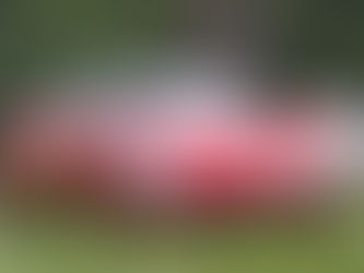 アルファロメオ マニア