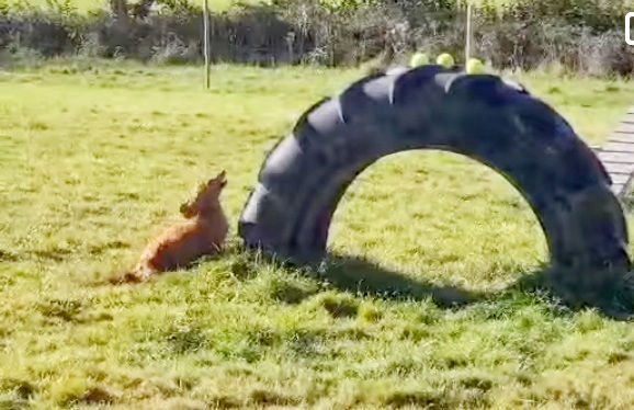 Guest Blog - Aimée Thomas