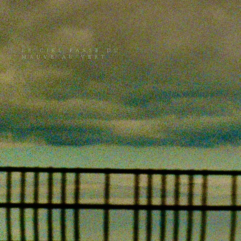 Le ciel passe du mauve au vert (3000 x 3000 px) (OFFICIAL COVER).jpg