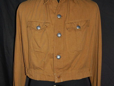 Braunhemd 褐色シャツ