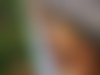 Clogged Gutters: The Hidden Threat to Your Home's Foundation