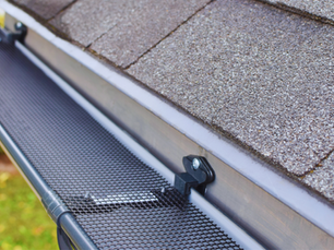 Best Gutter Guards for Homes with Heavy Tree Coverage