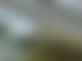 Common Causes of Fascia Damage and How to Fix Them