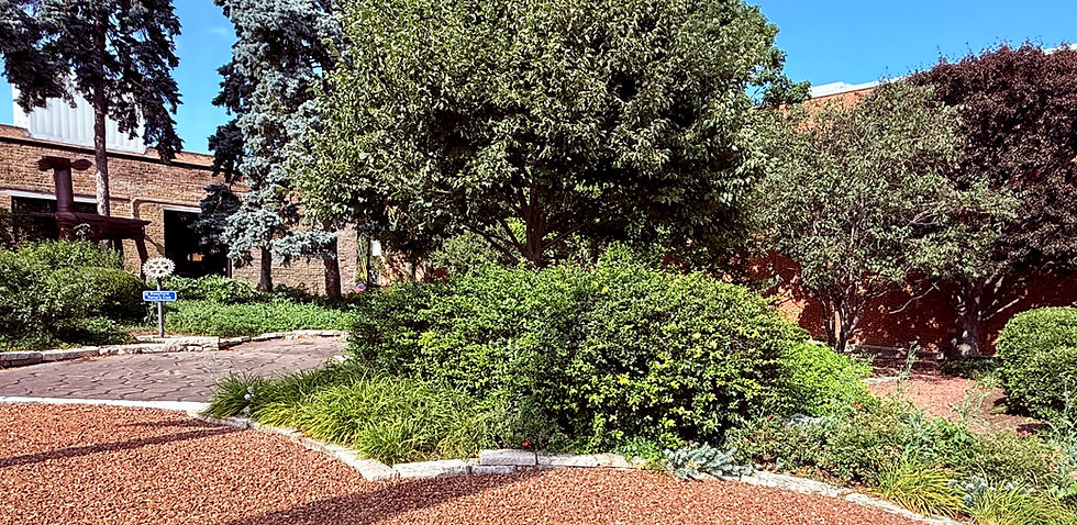 Landscaped street in downtown Deerfield, Illinois