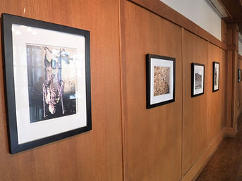 Warnell Featured Artist exhibit