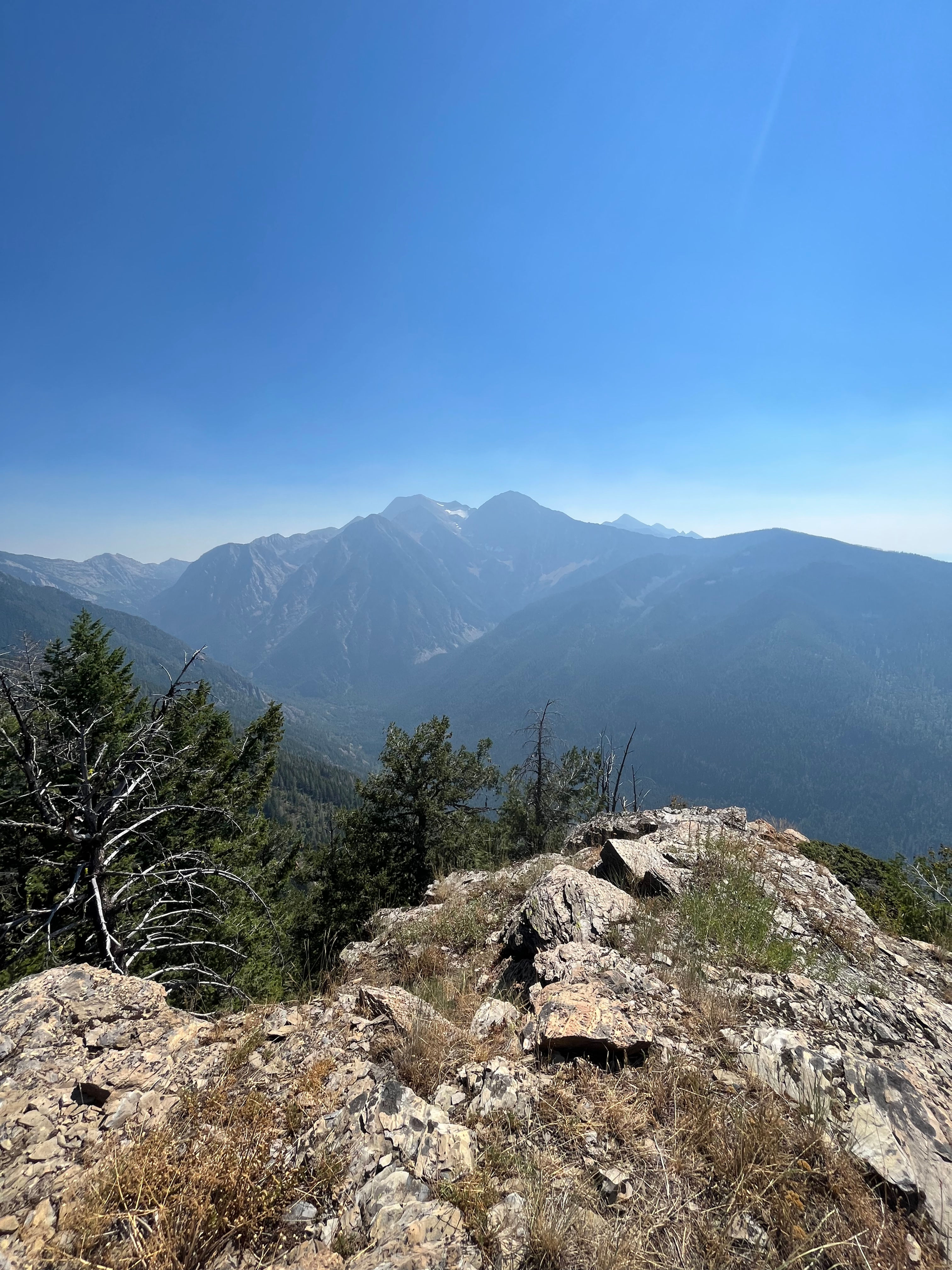 Diabetes secret solutions article