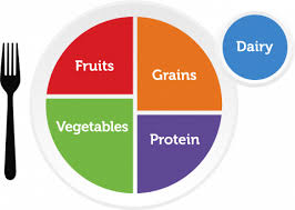 MyPlate: 1/2 the plate fruits & Veggies, 1/4 grains and 1/4 protein source