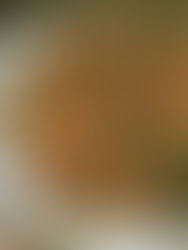 Mushroom Lentil Curry