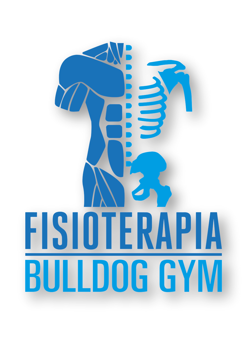 fioterapia bulldog GYM