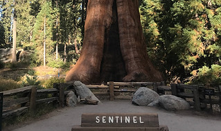 yosemite