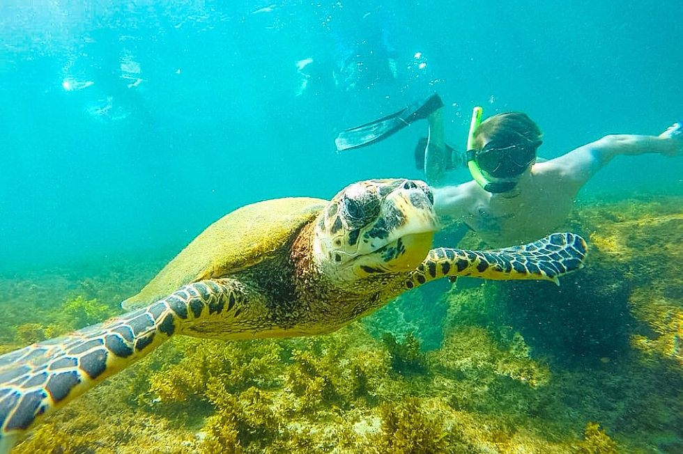 Mergulho com Snorkel