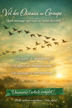 🕊️ Vol des oiseaux en groupe : décrypter leur signification spirituelle