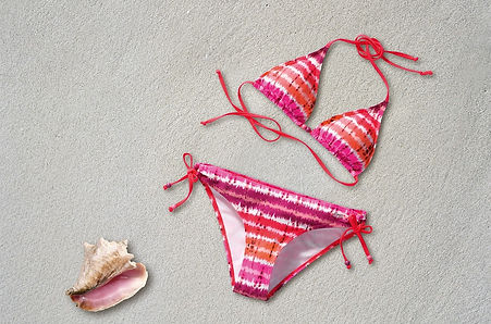 bikini-377487_960_720.jpg