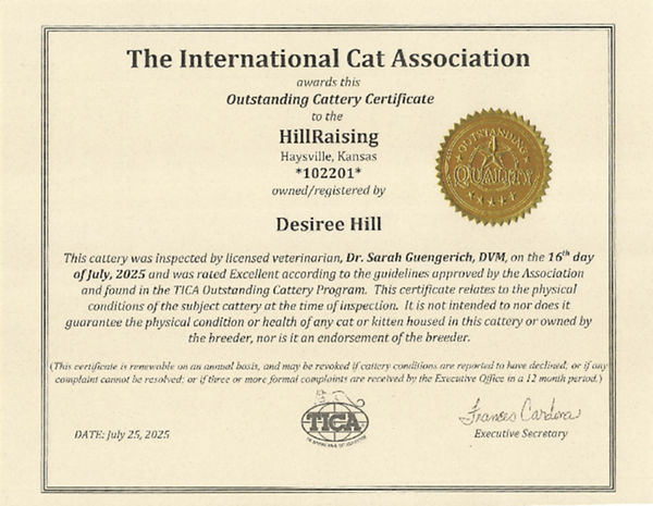 Outstanding Cattery Certificate image.jpg