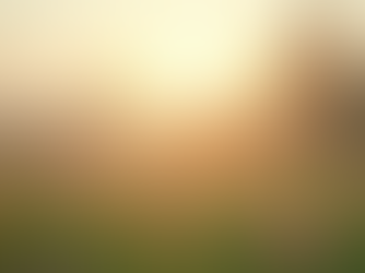 New Beginnings: The Inspiration Behind Our Designs