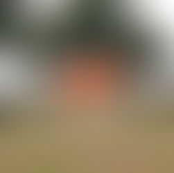 Die Modellfarm by Alex Eagleton