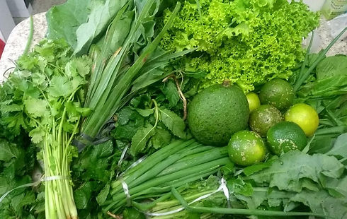 verduras_colhidas.jpeg