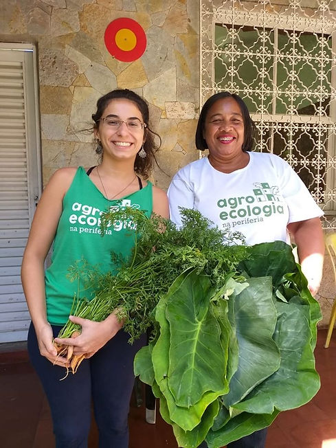 mulheres_agroecologia.jpeg
