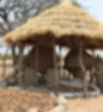 Ovamboland Storage Marula