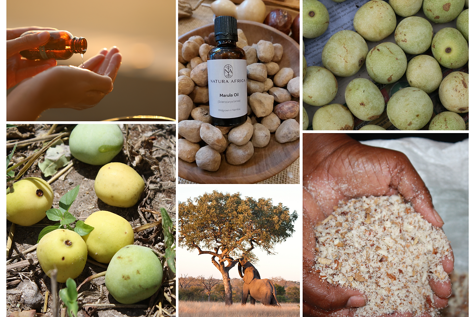 Marula Oil Collage