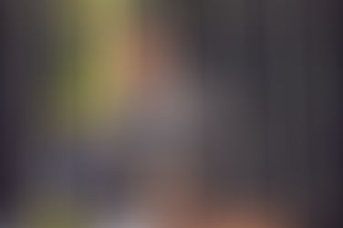 Wilson Filho irá para partido que filiará governador