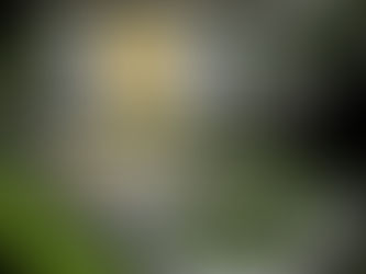 Prefeitura de João Pessoa avança no processo licitatório para 2 terminais do novo sistema de transporte público