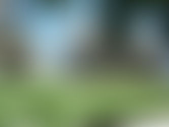 Agenda: CMJP discute doença de Parkinson e polÃticas de cooperativismo