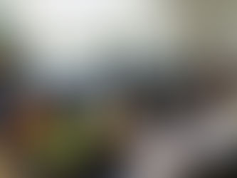 Prefeitura convoca mais de 260 cuidadores voluntários para passarem por processo de formação