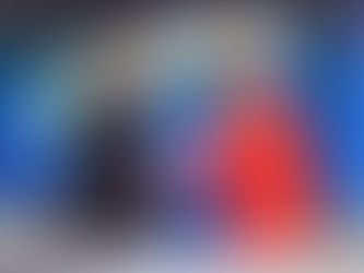 Bolsonaro promete provar fraude do 2º turno de 2014