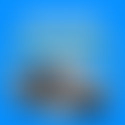 Com emenda do Deputado Federal Aguinaldo Ribeiro, Zabelê receberá van zero km para Saúde