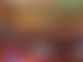 Daniella Ribeiro representa presidente do Senado em missão oficial no Marrocos; Pacheco destaca atuação da senadora