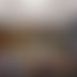 CMJP aprova Programa de Acolhimento para mulheres em situação de risco