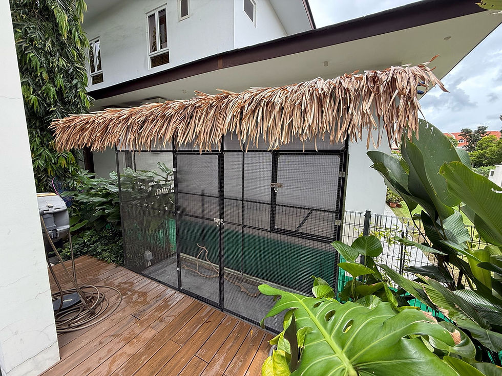 Aviary
