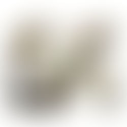 LA TRADIZIONE INCONTRA LA CARITÀ 2026