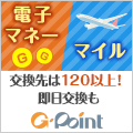 120x120gpoint04.gif