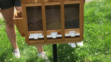 Bee Skyrise