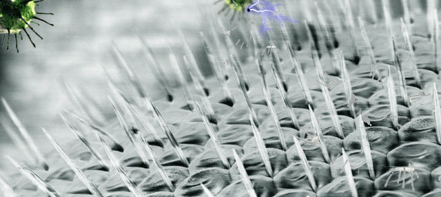 microbe.gif