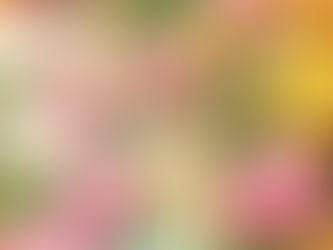 Verwandeln Sie Ihren Ostertisch in einem floralen Hinkucken: Mit Platzest Rose